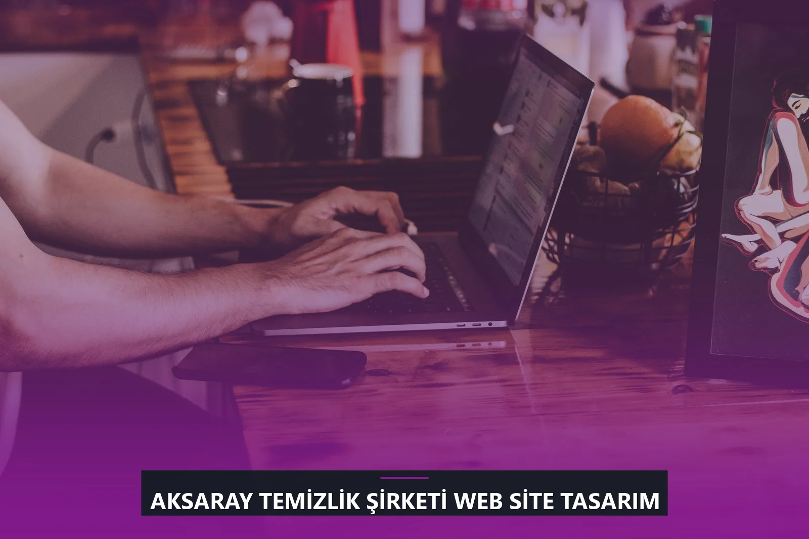 Aksaray Temizlik Şirketi Web Site Tasarım