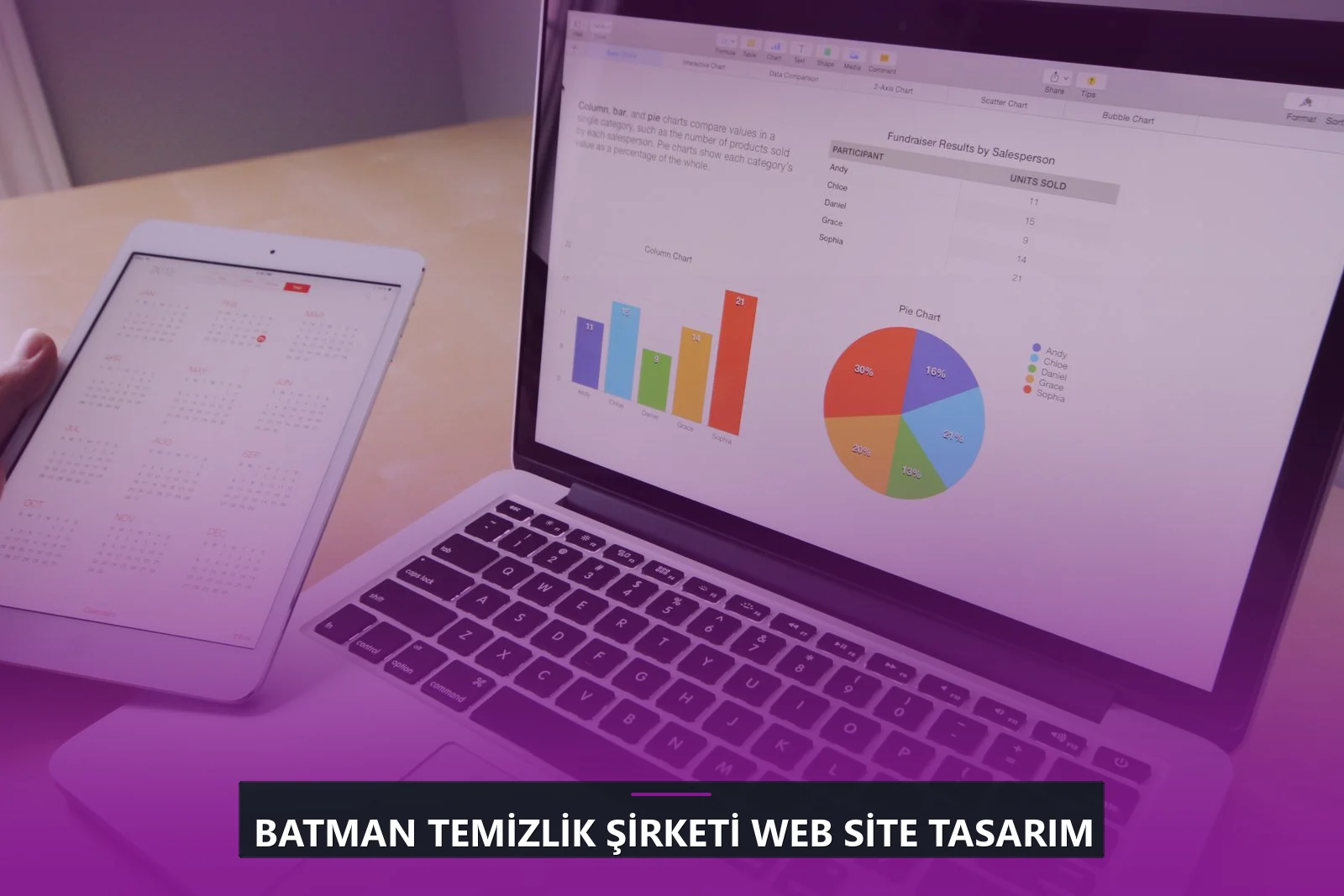 Batman Temizlik Şirketi Web Site Tasarım