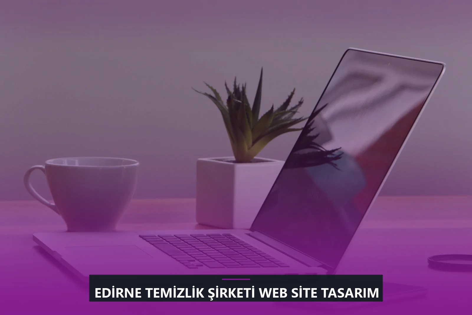 Edirne Temizlik Şirketi Web Site Tasarım