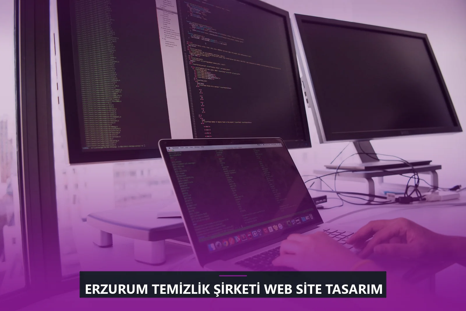 Erzurum Temizlik Şirketi Web Site Tasarım