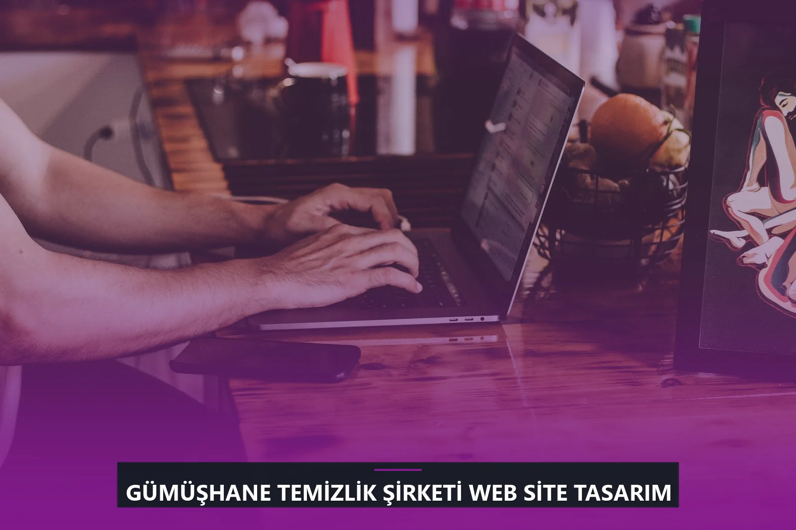 Gümüşhane Temizlik Şirketi Web Site Tasarım
