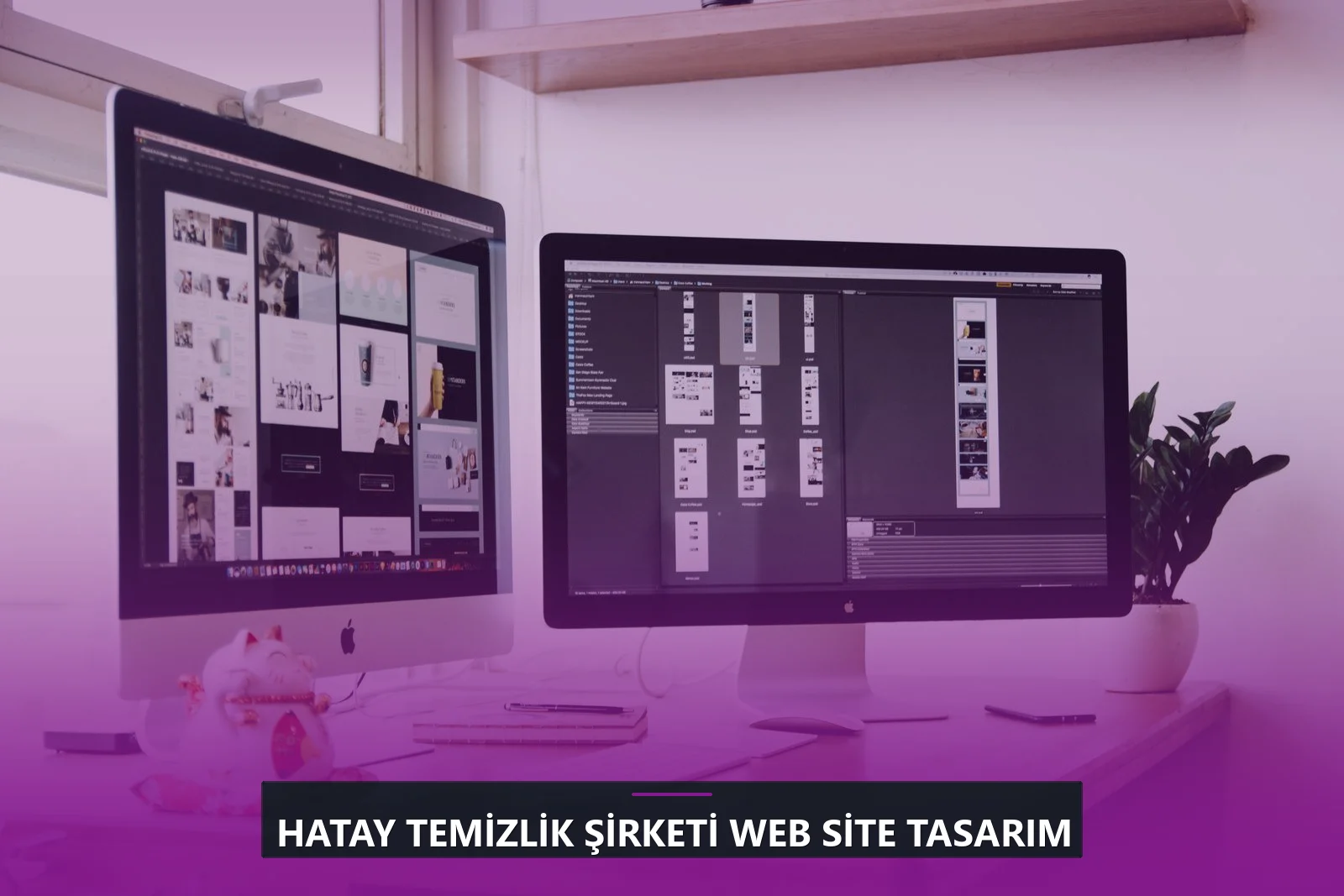 Hatay Temizlik Şirketi Web Site Tasarım