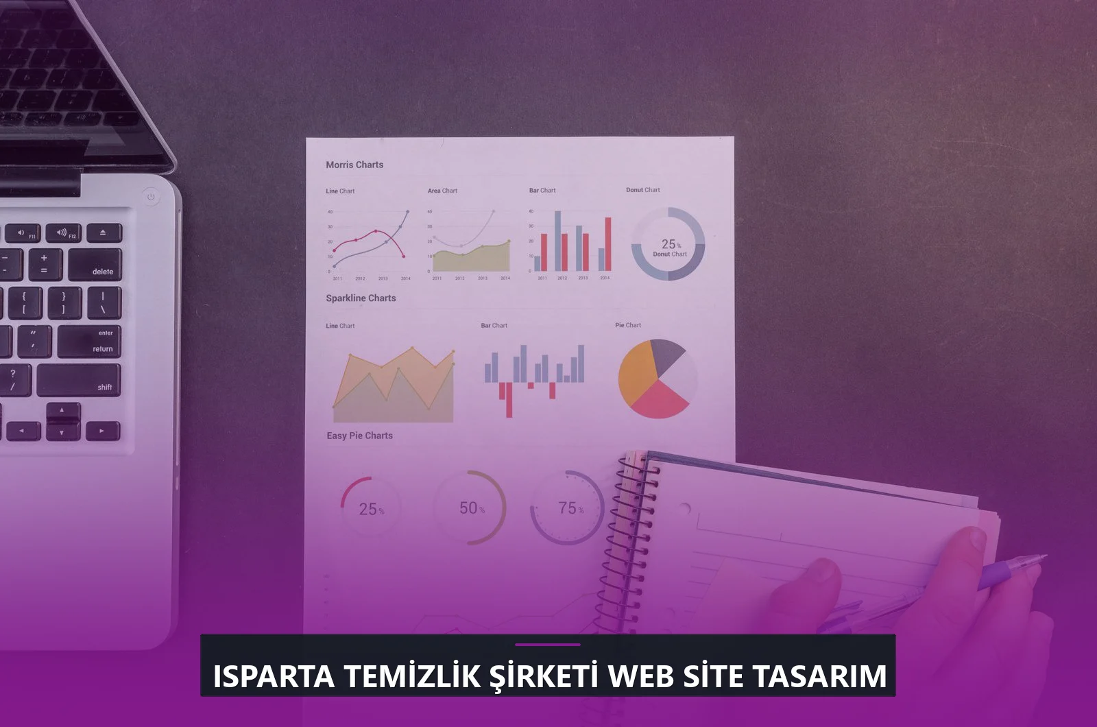 Isparta Temizlik Şirketi Web Site Tasarım