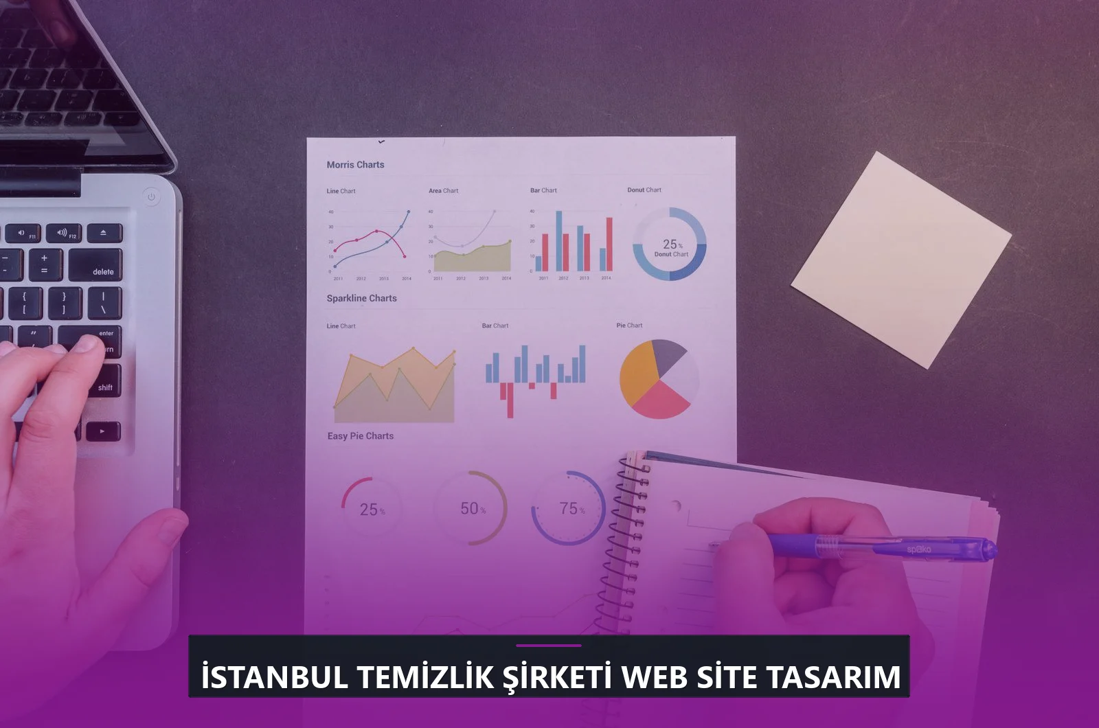 İstanbul Temizlik Şirketi Web Site Tasarım