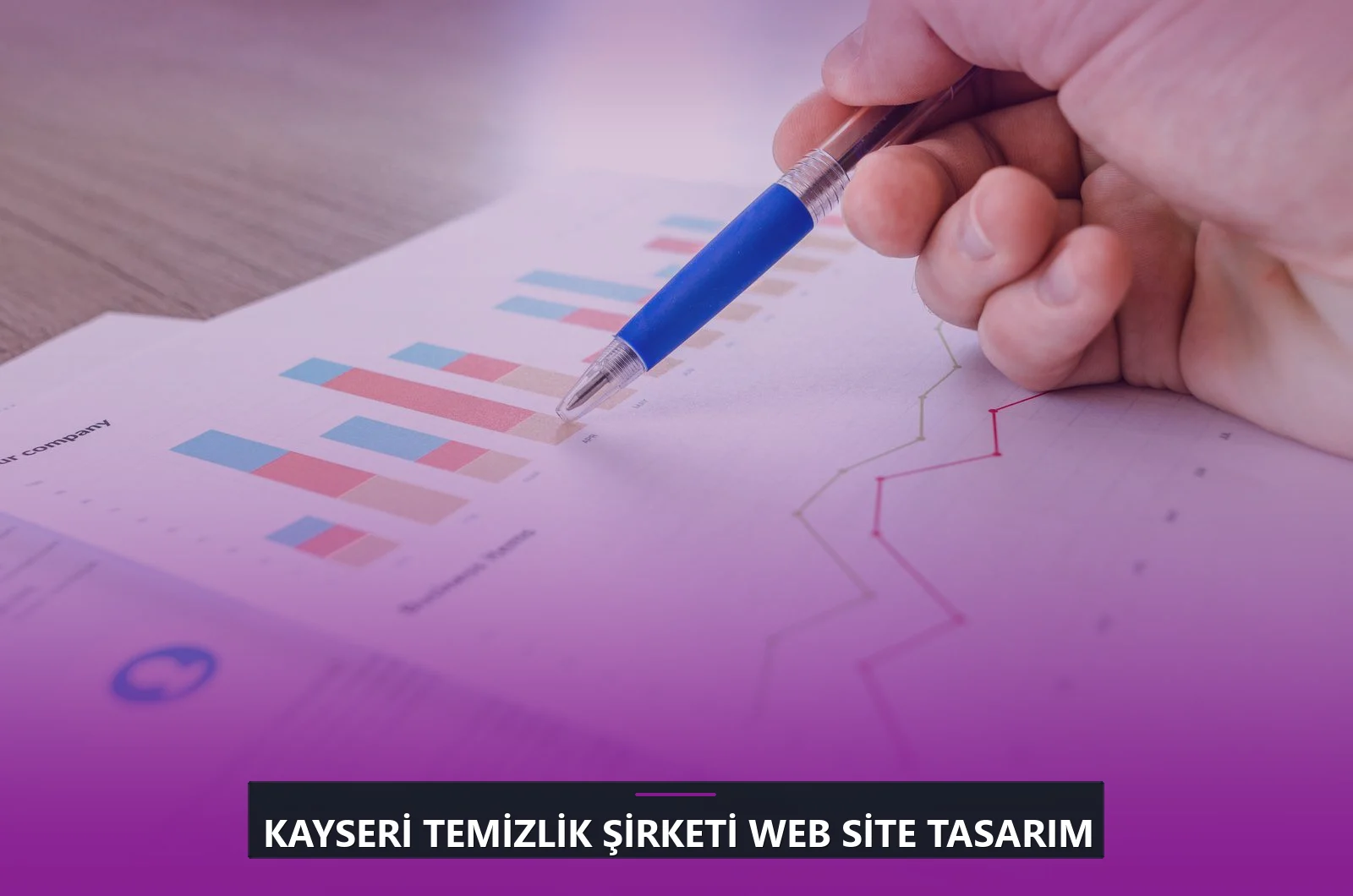 Kayseri Temizlik Şirketi Web Site Tasarım