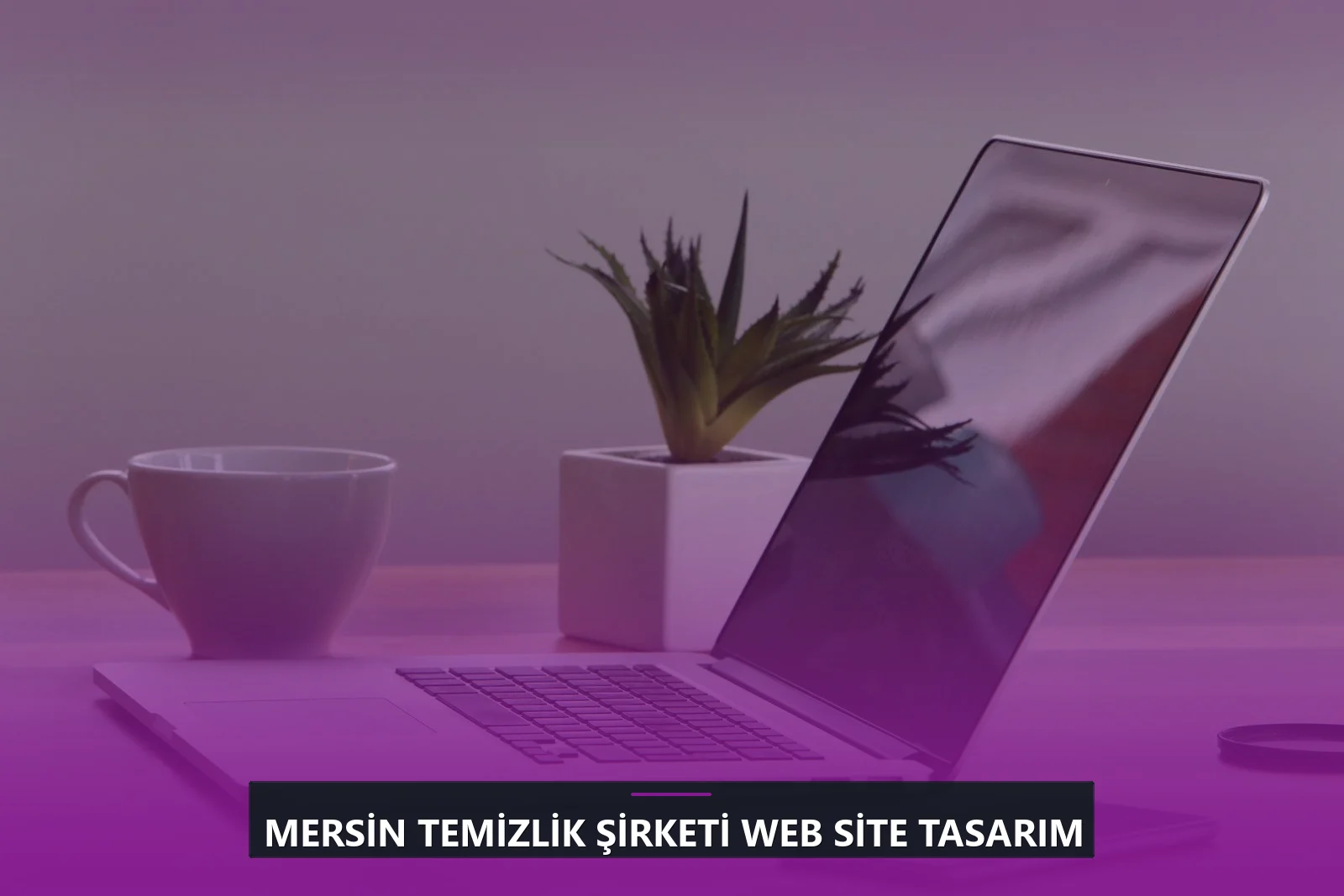 Mersin Temizlik Şirketi Web Site Tasarım