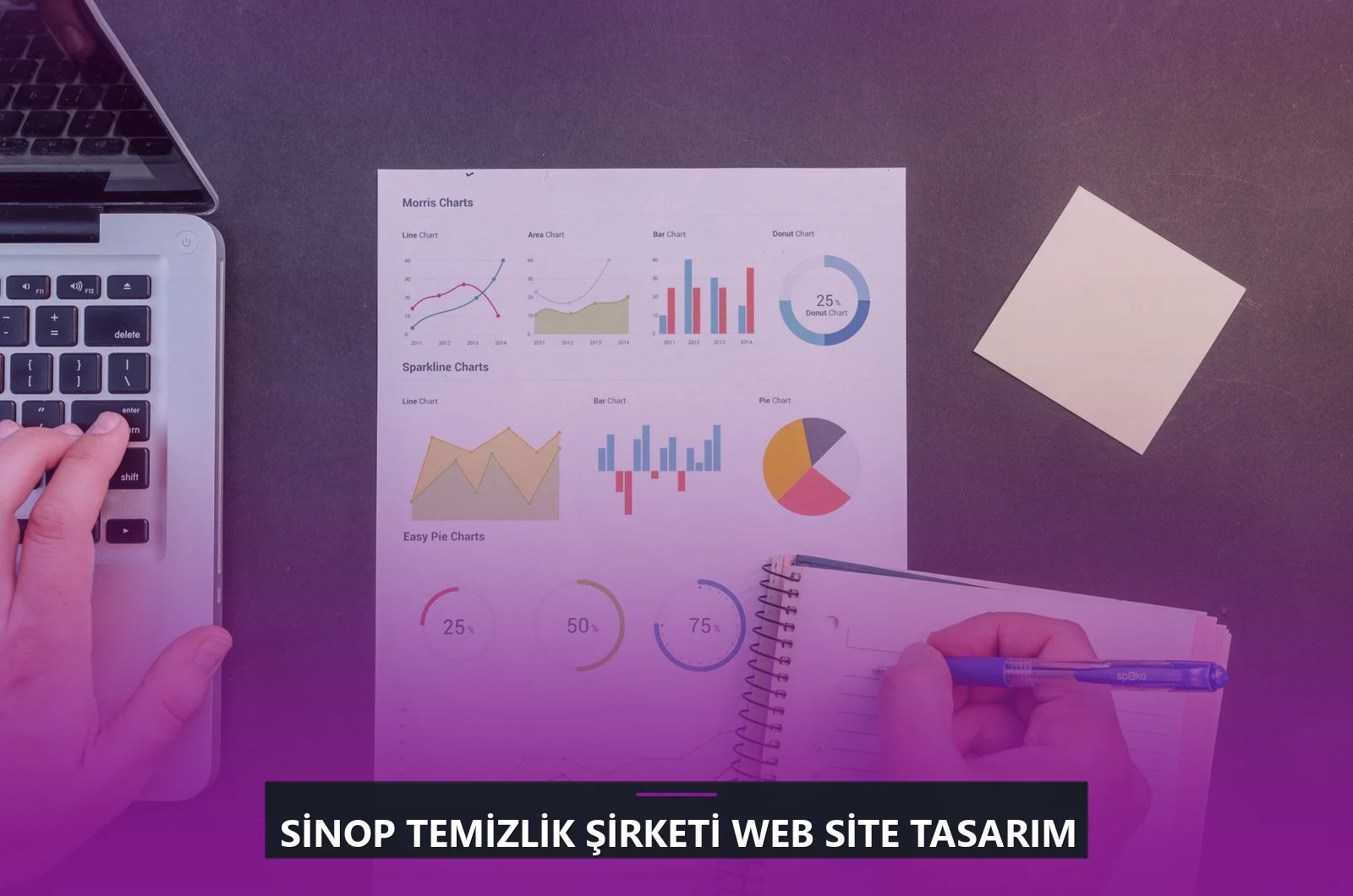 Sinop Temizlik Şirketi Web Site Tasarım