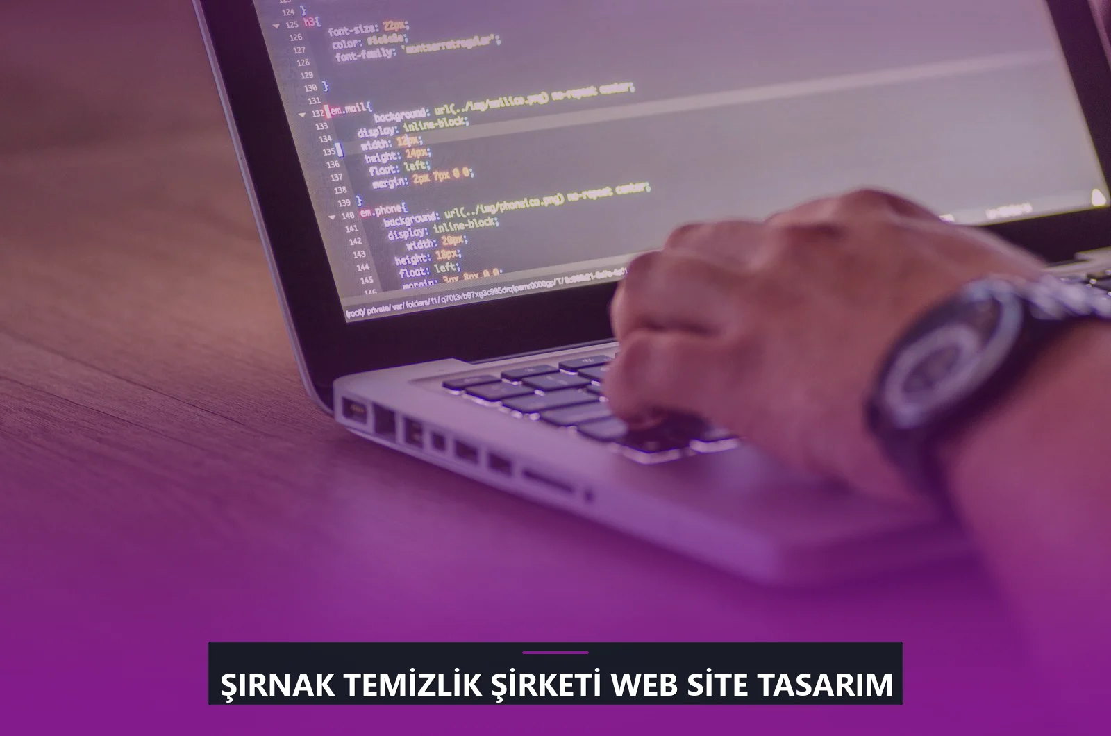 Şırnak Temizlik Şirketi Web Site Tasarım