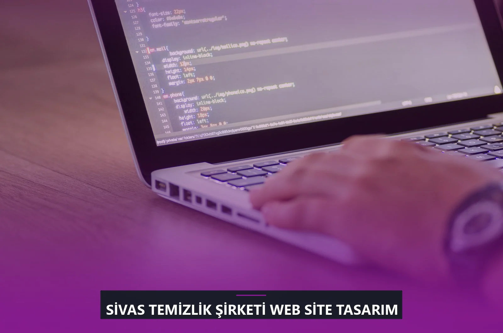 Sivas Temizlik Şirketi Web Site Tasarım