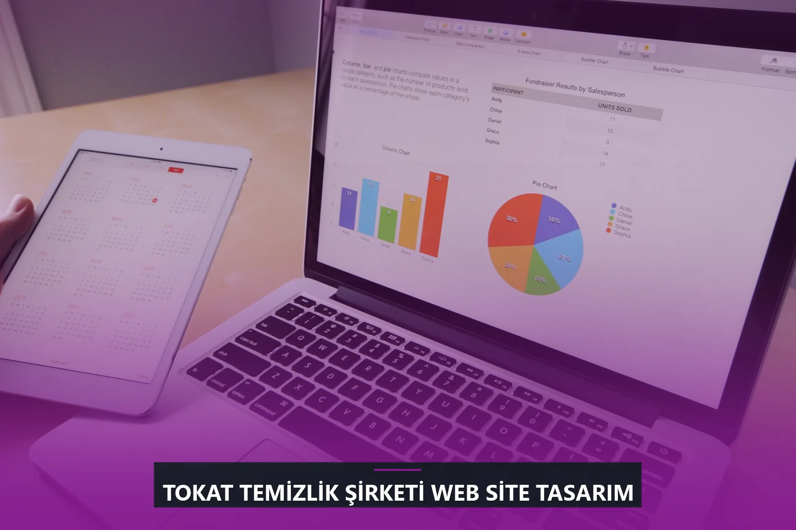 Tokat Temizlik Şirketi Web Site Tasarım
